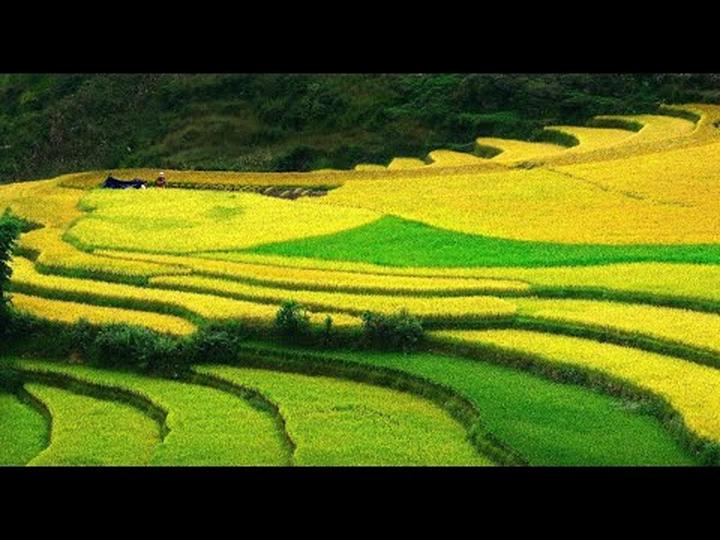 Chiến Thắng Marketing: Hotspot Matrix và Phương Pháp Video Ngắn